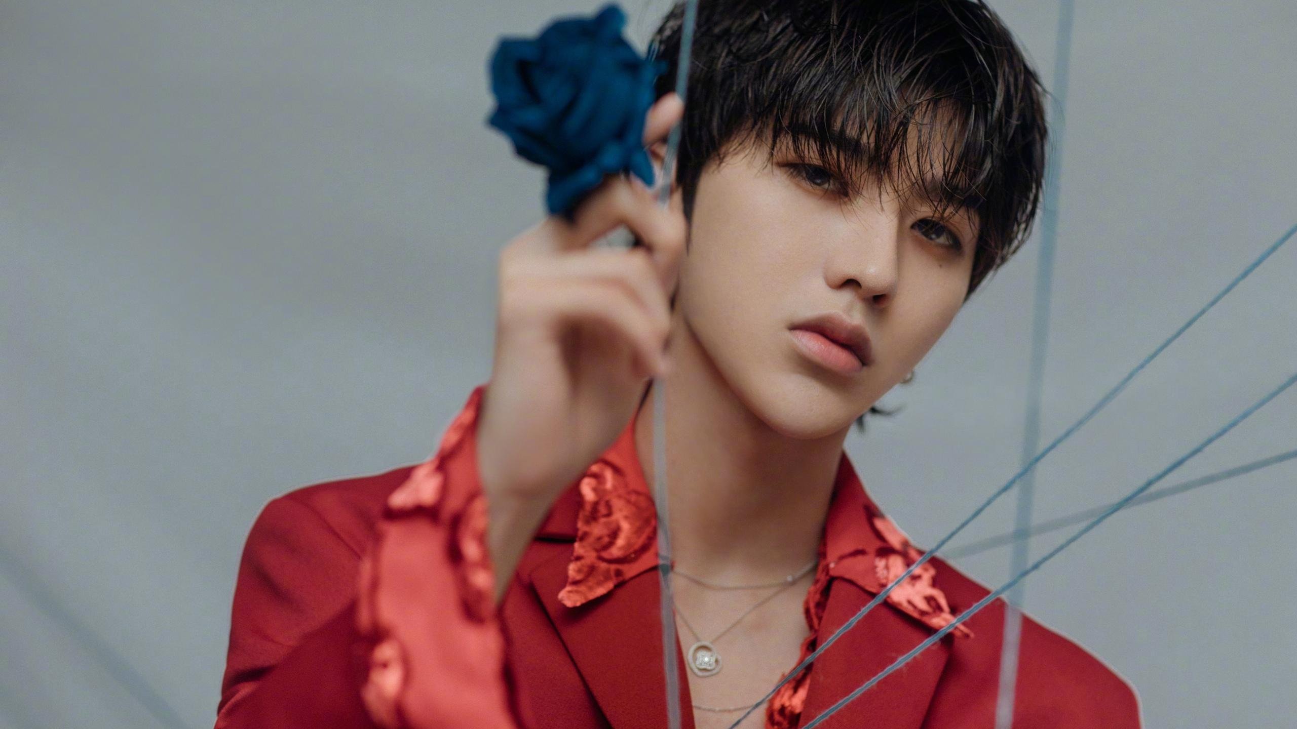 当奇才不再是队名，一次误读背后的篮球叙事革命武切维奇如何在数据镜像中成为击败凯尔特人的关键先生—即使他从未身披奇才球衣