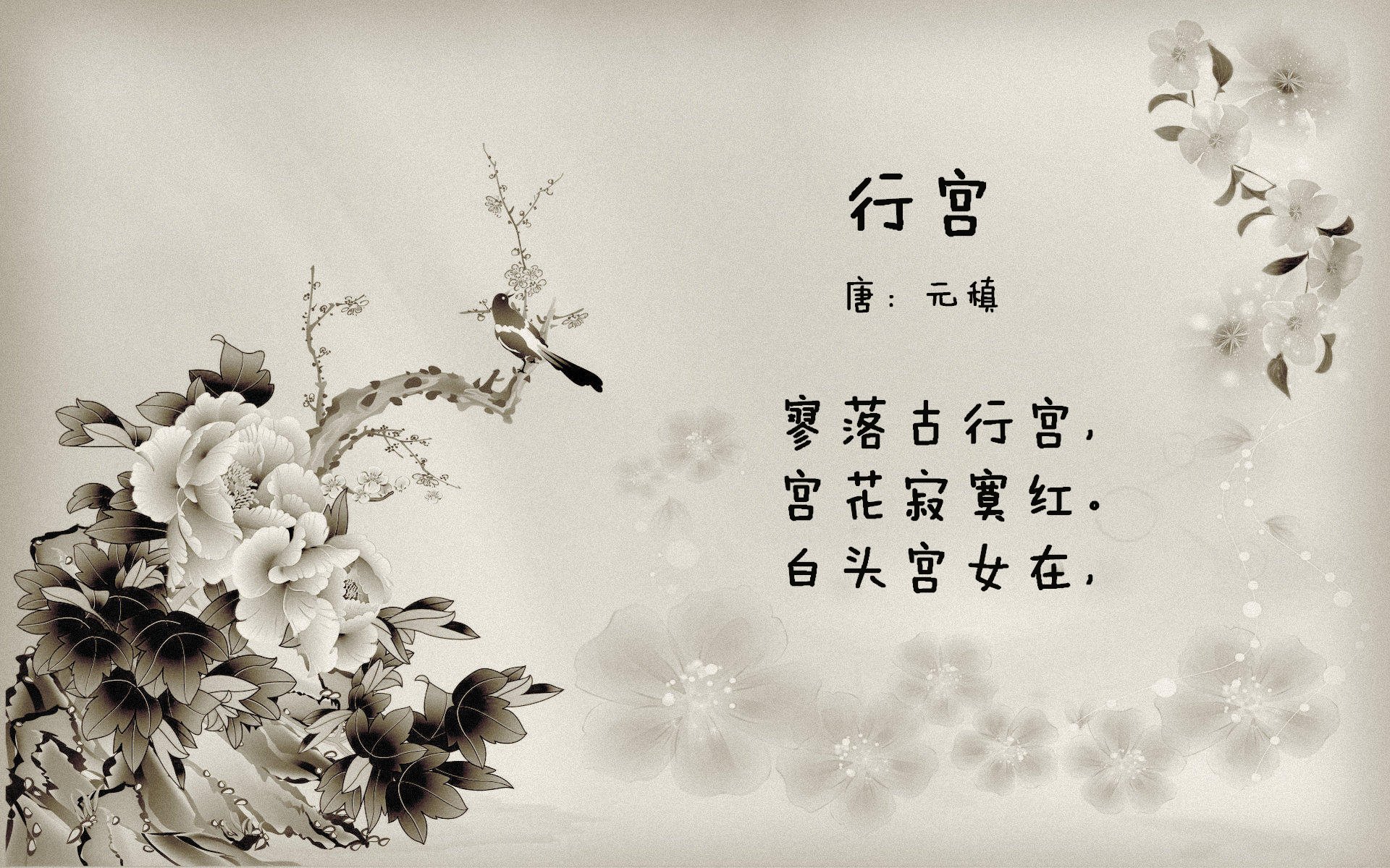 一剑封喉，爱尔兰闪电战摧毁威尔士，今夜凯恩之名响彻都柏林！