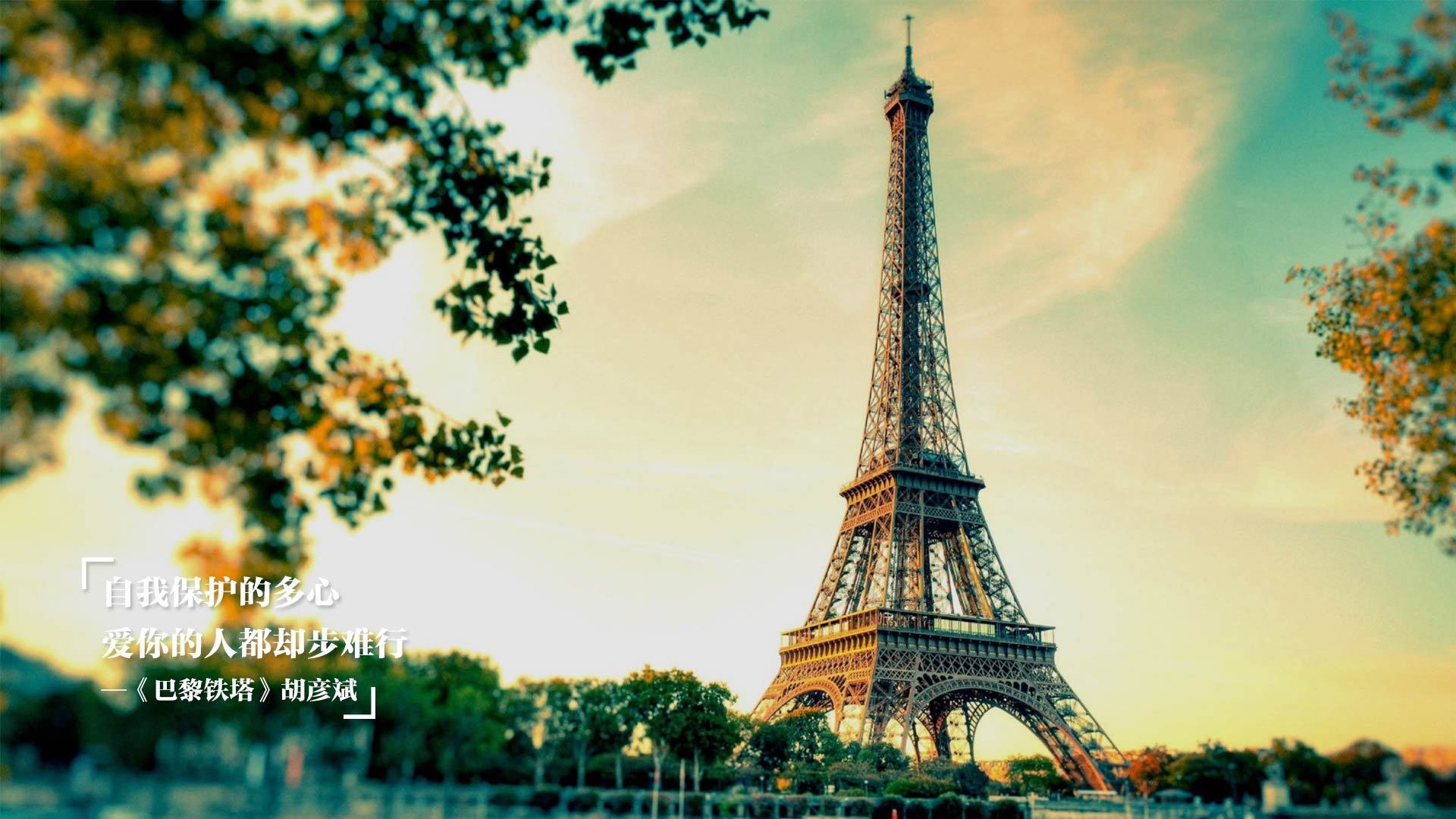 黑白色吞噬蓝色浪潮，文班亚马的里程碑夜与战术革命