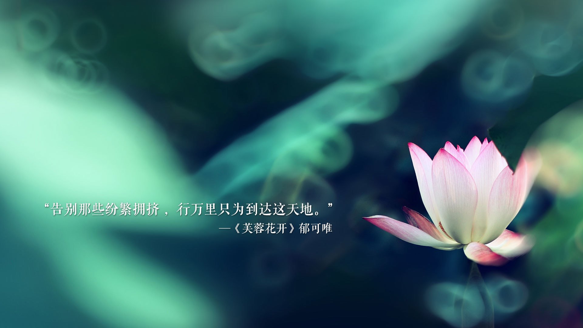 (备选)