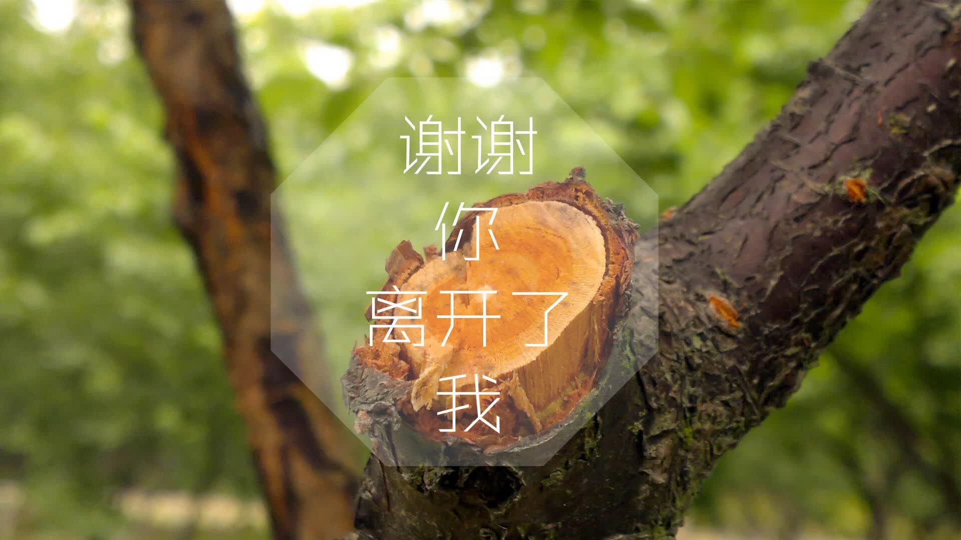 控球逆转，哥斯达黎加如何用匈牙利人的武器，击碎铁骑并创造A组唯一奇迹？