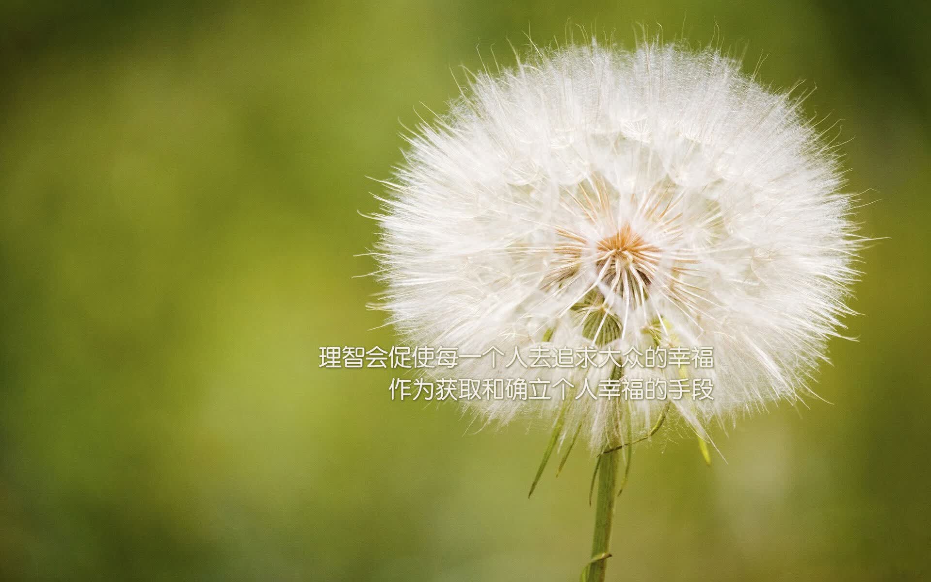 唯一的德容，唯一的夜晚，当突尼斯用碾压定义2026世界杯C组的唯一真理